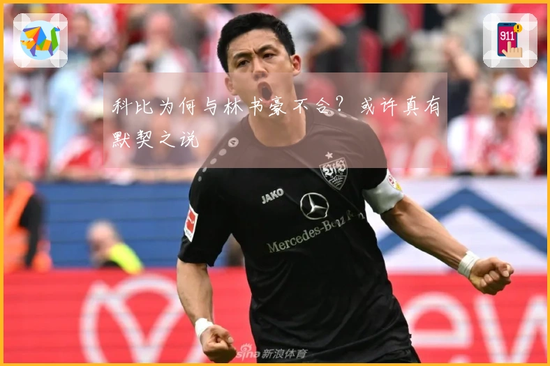 科比为何与林书豪不合？或许真有默契之说