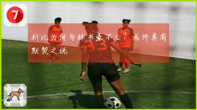 科比为何与林书豪不合？或许真有默契之说